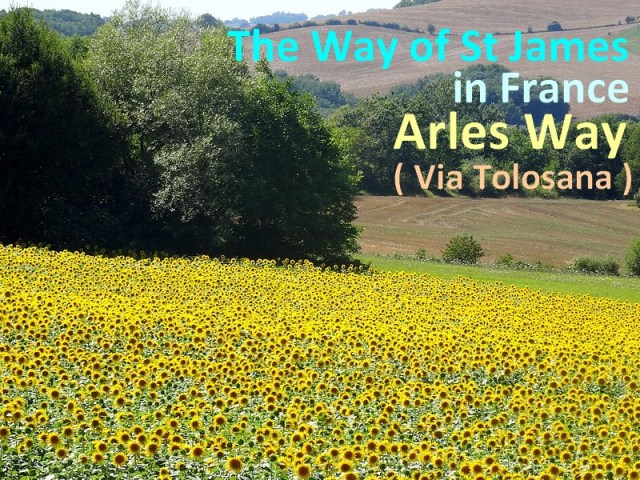 way-of-st-james-arles-way