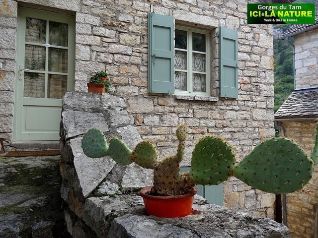 21-sainte-enimie-france