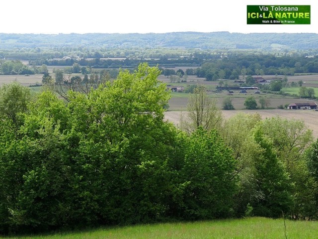 29-arles-route-way-st-james-in-france