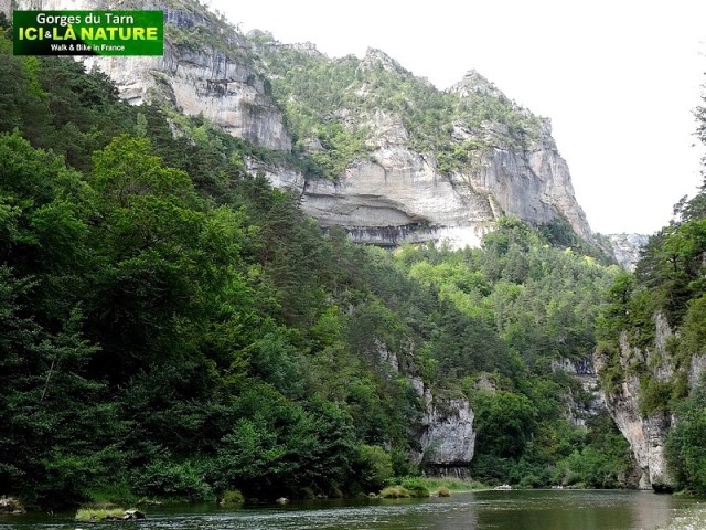36-gorges-du-tarn