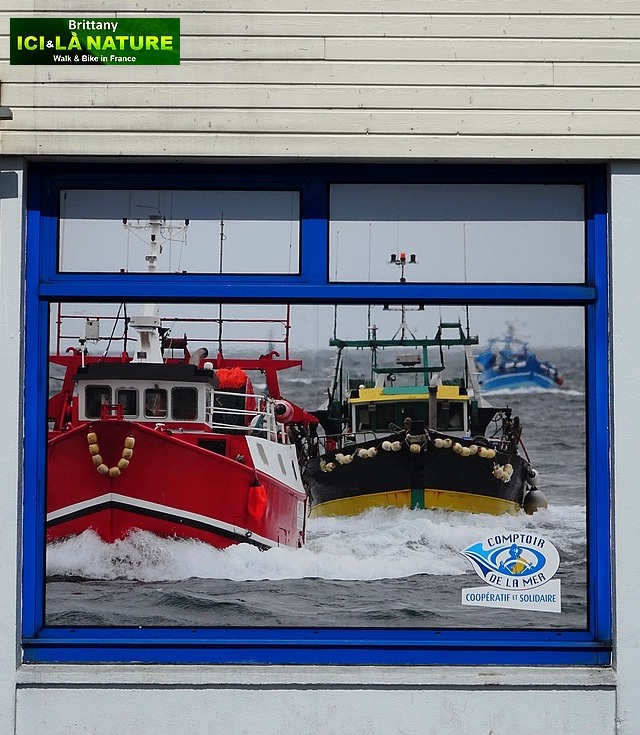 05-cooperative-maritime-le-guilvinec