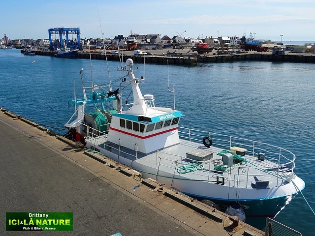 06-port-guilvinec-bretagne-france
