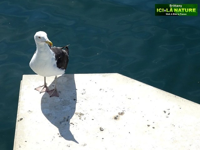 12-walking-tour-france-holidays