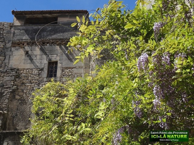 18-saint-remy-de-provence