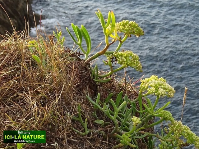 25-french-atlantic-coastal-path-gr-34