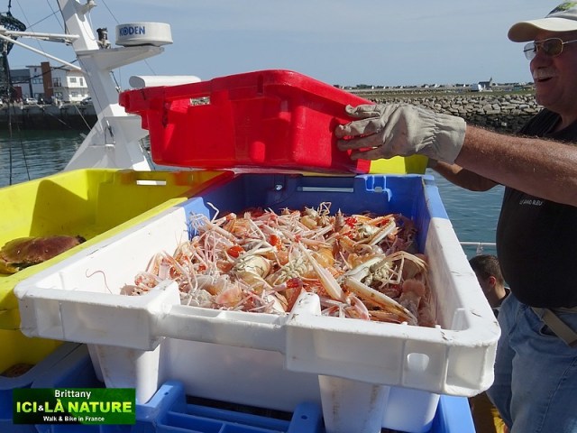 29-best-walking-tour-france-brittany