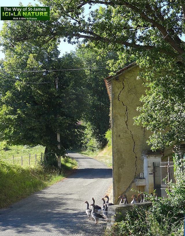 34-way-of-st-james-in-france