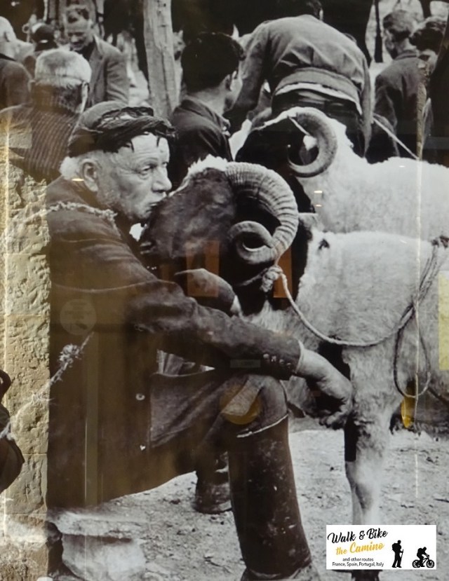 24-old postcard france ariege